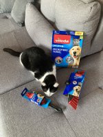 IMG_2423.jpeg