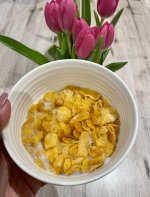 IMG_1501.jpeg