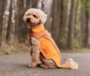 WOLTERS Regenjacke Easy Rain