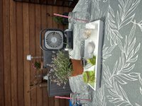 IMG_5562.jpeg