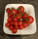 Tomaten 3.jpg