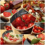 Tomaten4.jpg