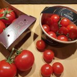 Tomaten (2).jpg