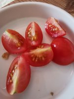 tomaten05.jpg