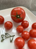 IMG_8390 loony tomaten rezept tomate kräuter baguette tipp test probieren.JPG
