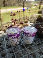 Produkttest LUVE Lupinen-Joghurts.JPG