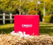 Cavallo Box