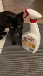 IMG_2019.jpeg