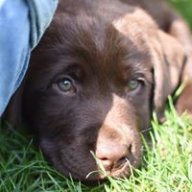 familylifeloveandcooking