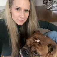 Gänseblümchen 2111