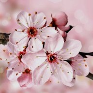 Angelina_my_lifestyle